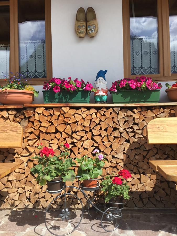B&B Solder Chalet Dolomiti Sappada Exteriér fotografie